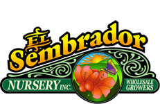El Sembrador Nursery Inc. - Retail Nursery San Diego, Wholesale Nursery San Diego